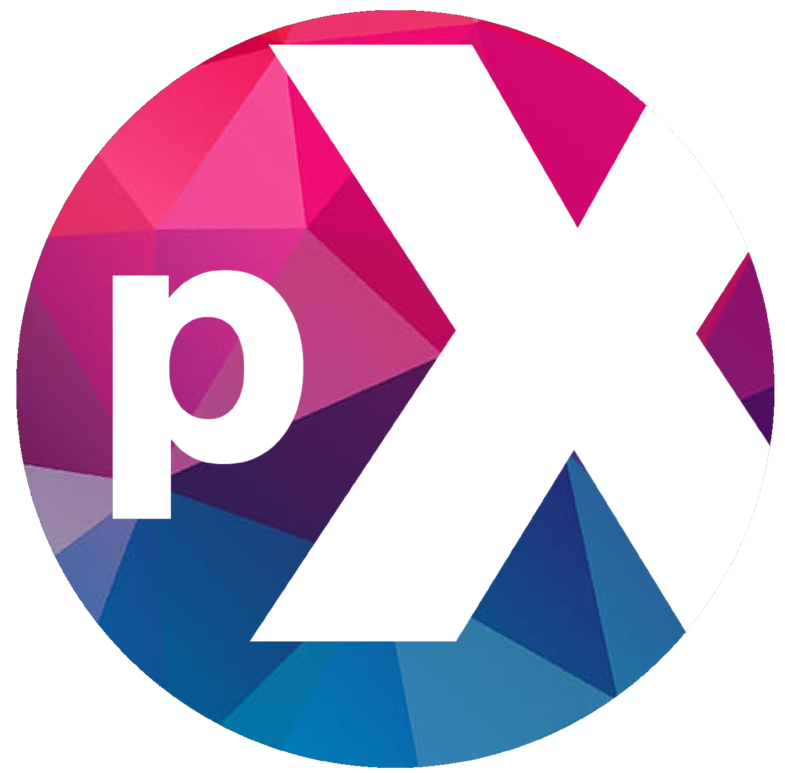 Pasxmedia Holding